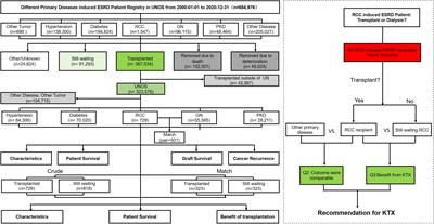 Transplant or dialysis: What’s the better choice for RCC-induced ESRD patients? A 20-year analysis of OPTN/UNOS data